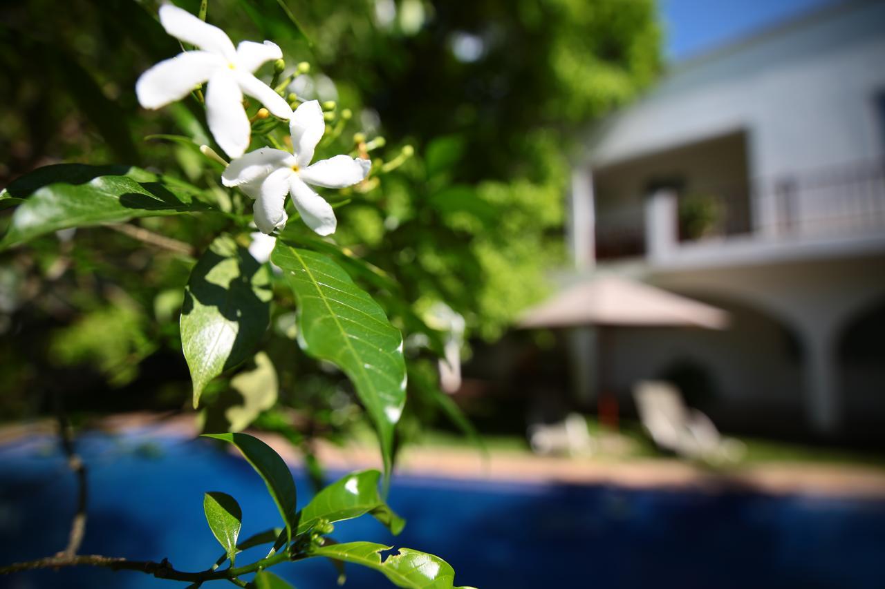 Alexanders Hotel Dar es Salaam Exterior photo